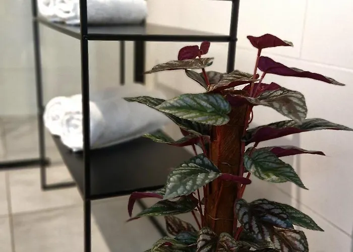 Bellissima דירה ביילסקו-ביאלה